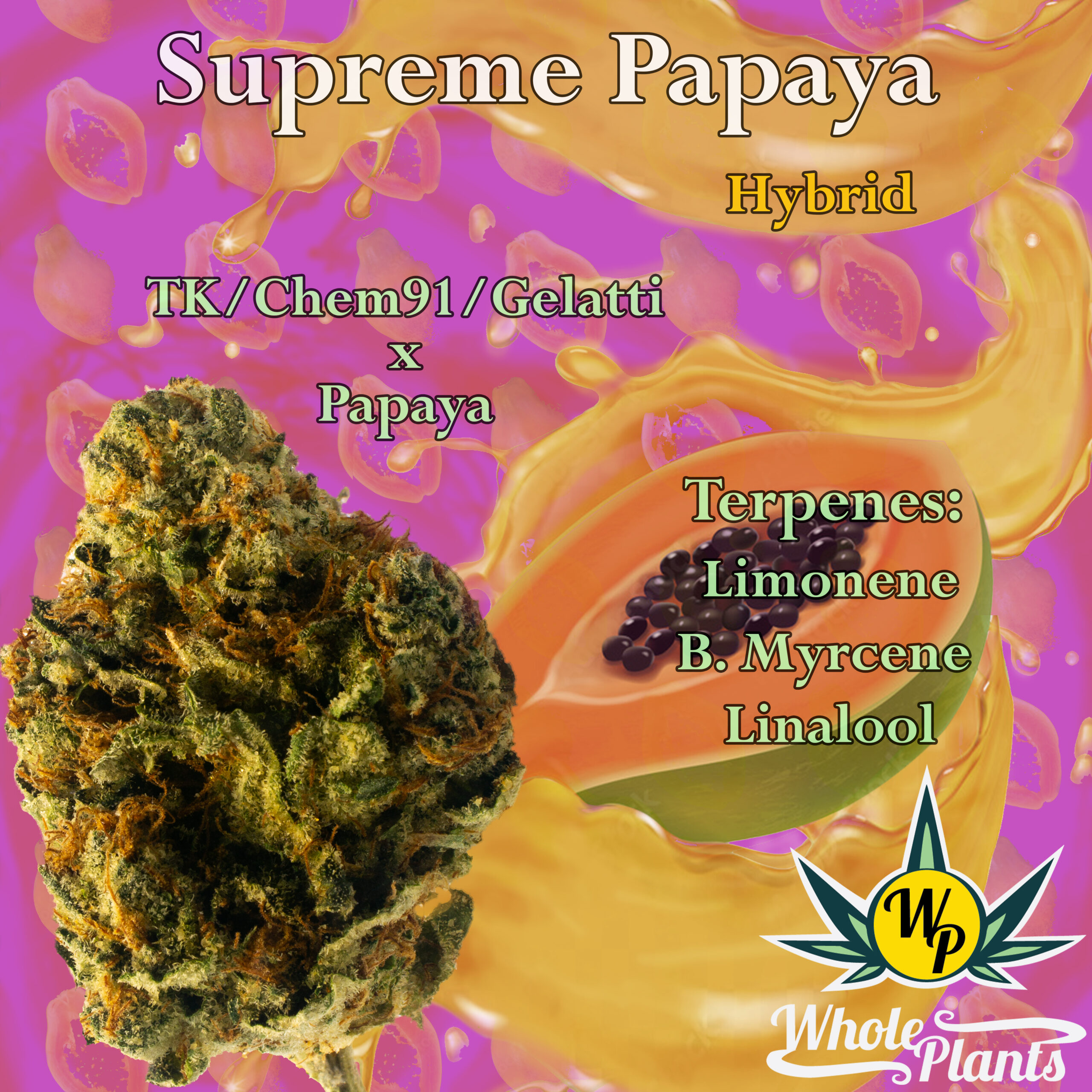 Supreme Papaya Hybrid